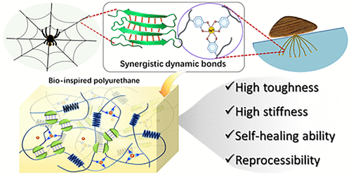 南开大学孙平川《ACS Macro Letters》生物启发的聚氨酯,具有带有协同动态键的多功能嵌段模块的图2